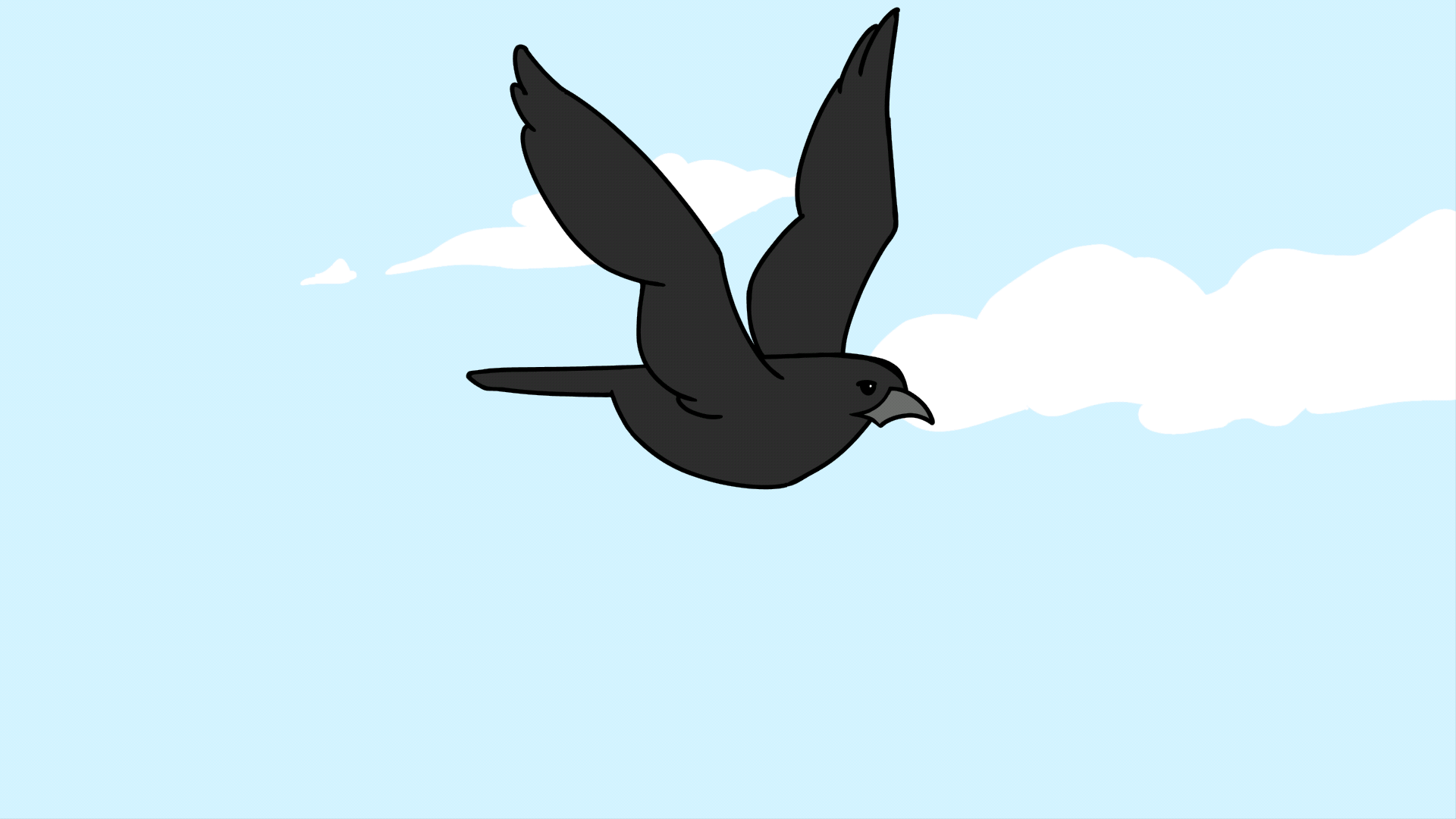 Bird Flying Practice Bird Flying Practice